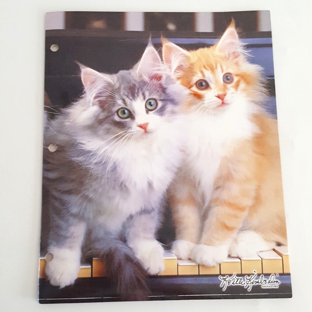 2-Pocket Folder Class Act Paper Portfolio Kittens Keith Kimberlin